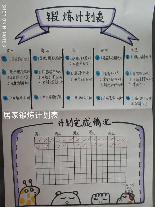 如何制定合理的锻炼计划以提高抵抗力