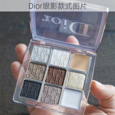 Dior眼影款式图片