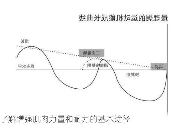 了解增强肌肉力量和耐力的基本途径