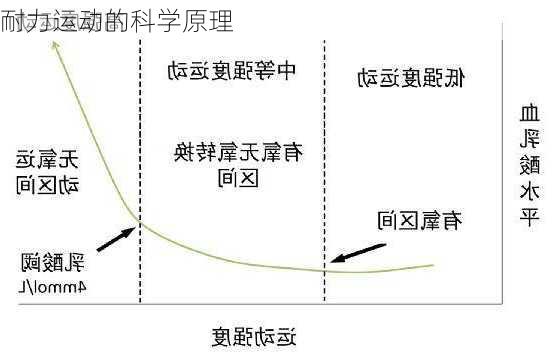 耐力运动的科学原理