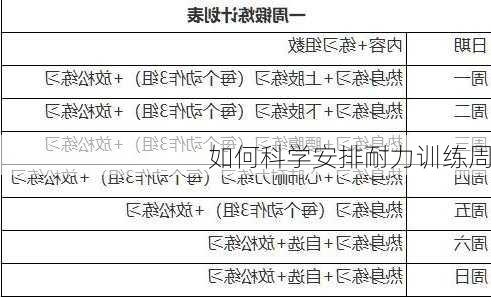 如何科学安排耐力训练周