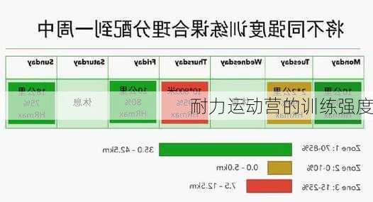 耐力运动营的训练强度