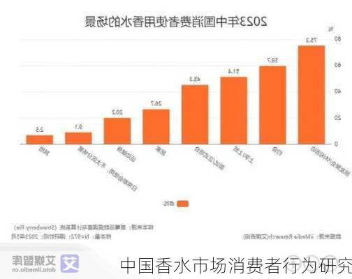 中国香水市场消费者行为研究