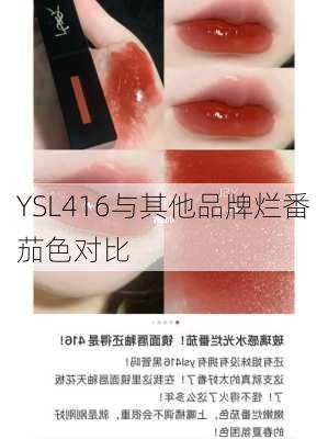 YSL416与其他品牌烂番茄色对比