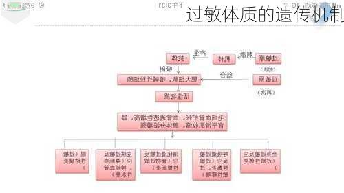 过敏体质的遗传机制