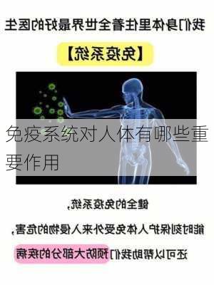 免疫系统对人体有哪些重要作用