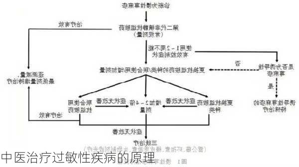 中医治疗过敏性疾病的原理