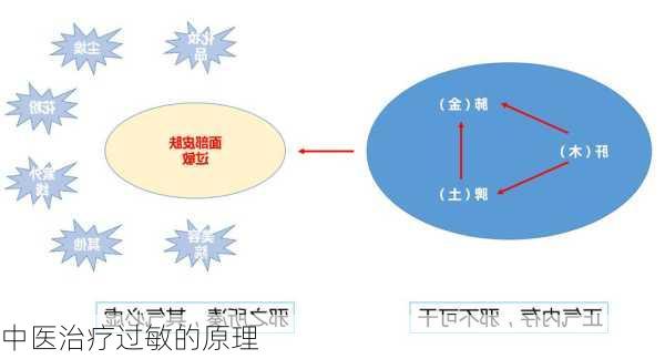 中医治疗过敏的原理