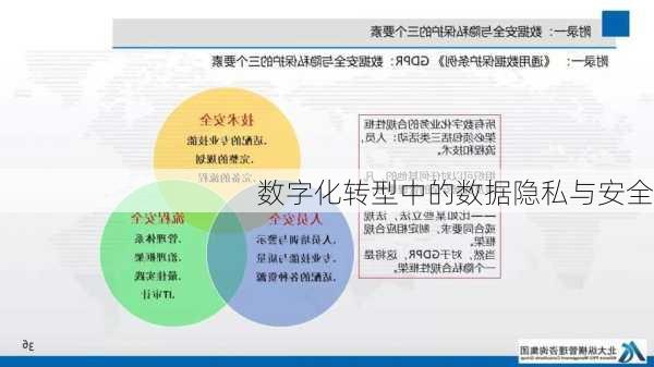 数字化转型中的数据隐私与安全