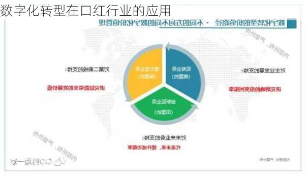 数字化转型在口红行业的应用