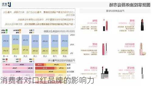 消费者对口红品牌的影响力