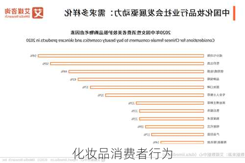 化妆品消费者行为