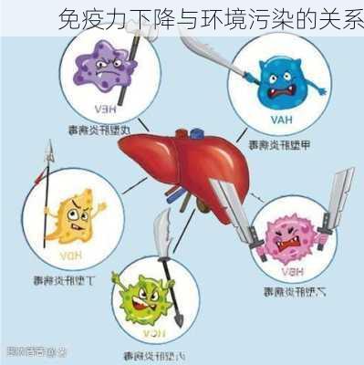 免疫力下降与环境污染的关系