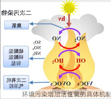 环境污染增加活性氧的具体机制