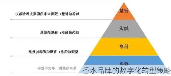 香水品牌的数字化转型策略