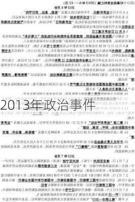 2013年政治事件