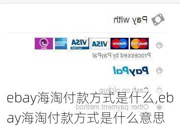 ebay海淘付款方式是什么,ebay海淘付款方式是什么意思