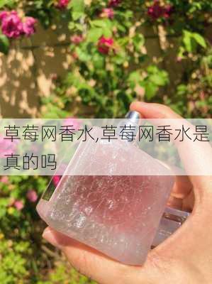 草莓网香水,草莓网香水是真的吗