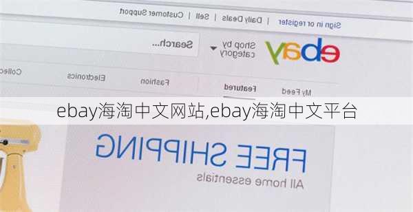 ebay海淘中文网站,ebay海淘中文平台