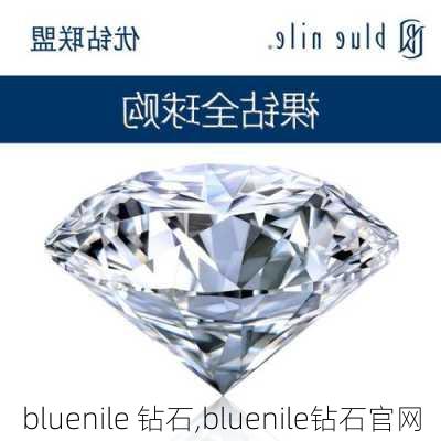 bluenile 钻石,bluenile钻石官网