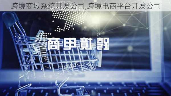 跨境商城系统开发公司,跨境电商平台开发公司