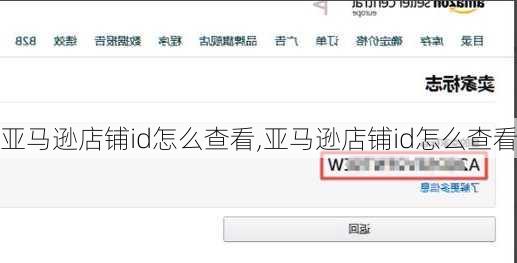 亚马逊店铺id怎么查看,亚马逊店铺id怎么查看