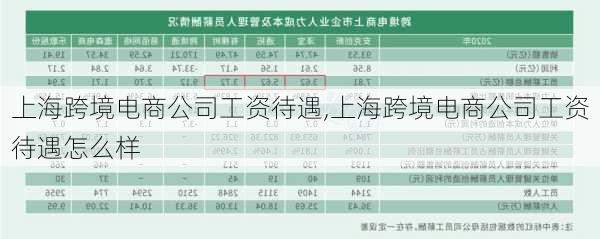 上海跨境电商公司工资待遇,上海跨境电商公司工资待遇怎么样