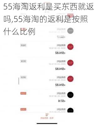 55海淘返利是买东西就返吗,55海淘的返利是按照什么比例