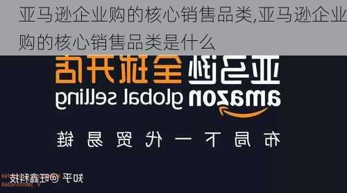 亚马逊企业购的核心销售品类,亚马逊企业购的核心销售品类是什么