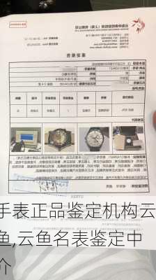 手表正品鉴定机构云鱼,云鱼名表鉴定中介