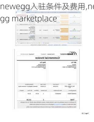 newegg入驻条件及费用,newegg marketplace