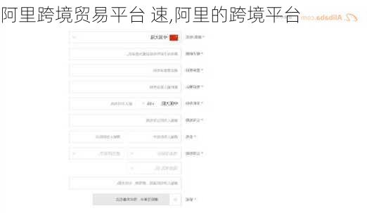 阿里跨境贸易平台 速,阿里的跨境平台