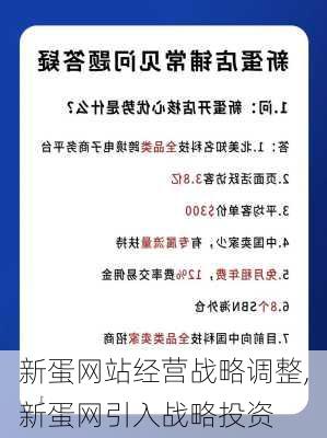 新蛋网站经营战略调整,新蛋网引入战略投资