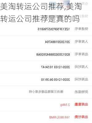 美淘转运公司推荐,美淘转运公司推荐是真的吗