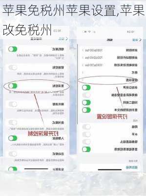 苹果免税州苹果设置,苹果改免税州