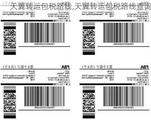 天翼转运包税路线,天翼转运包税路线查询