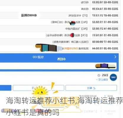 海淘转运推荐小红书,海淘转运推荐小红书是真的吗