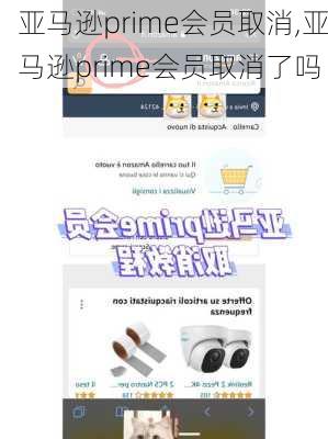 亚马逊prime会员取消,亚马逊prime会员取消了吗