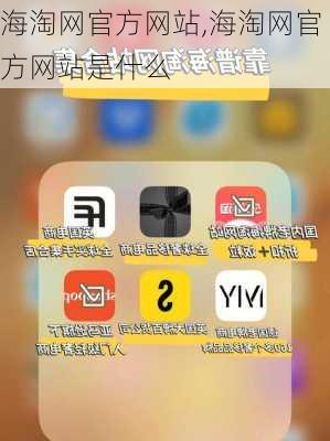 海淘网官方网站,海淘网官方网站是什么