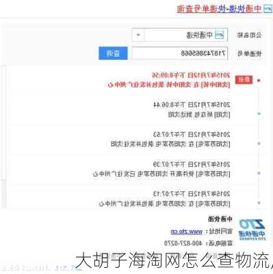 大胡子海淘网怎么查物流,