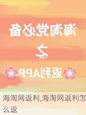 海淘网返利,海淘网返利怎么返