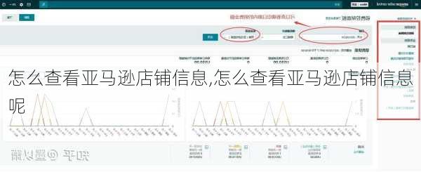 怎么查看亚马逊店铺信息,怎么查看亚马逊店铺信息呢