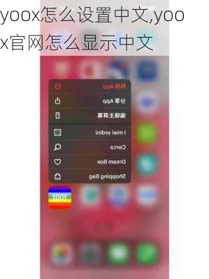 yoox怎么设置中文,yoox官网怎么显示中文