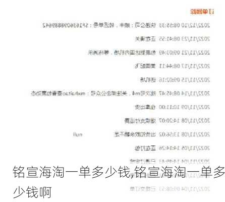 铭宣海淘一单多少钱,铭宣海淘一单多少钱啊