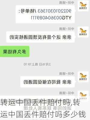 转运中国丢件赔付吗,转运中国丢件赔付吗多少钱