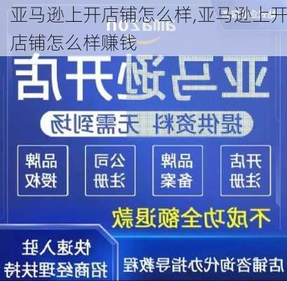 亚马逊上开店铺怎么样,亚马逊上开店铺怎么样赚钱