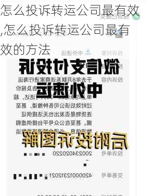 怎么投诉转运公司最有效,怎么投诉转运公司最有效的方法