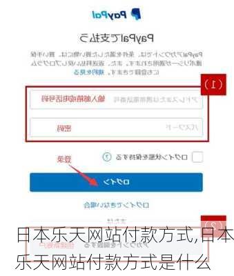 日本乐天网站付款方式,日本乐天网站付款方式是什么