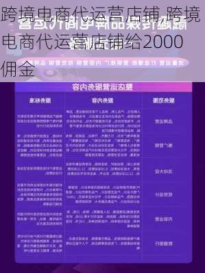 跨境电商代运营店铺,跨境电商代运营店铺给2000佣金