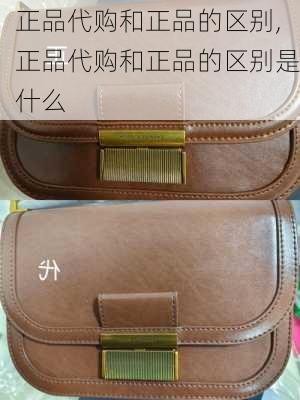 正品代购和正品的区别,正品代购和正品的区别是什么